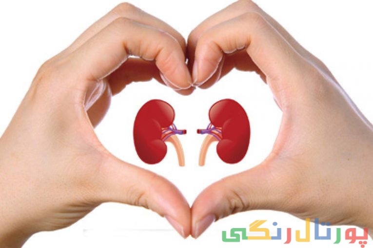 سلامت کلیه
