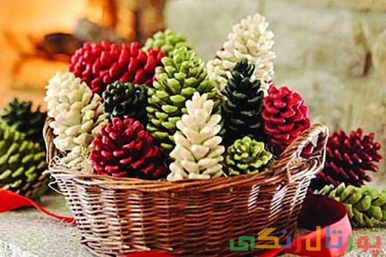 میوه کاج