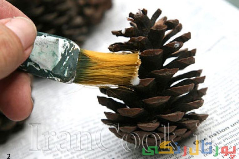 کاج معطر
