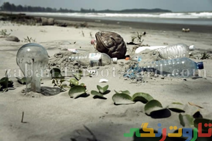pollute