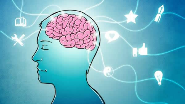 ذهن خود را با پروتئین ذهنی تغذیه کنید