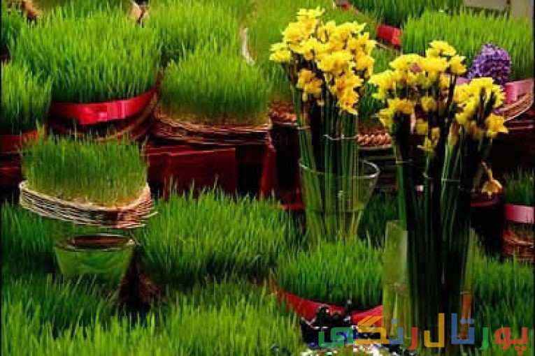 سبزه عید نوروز