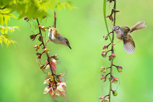 جدیدترین اس ام اس روز سیزده بدر 95