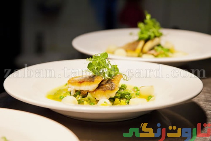 معنی dish معنی dish