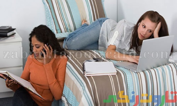 معنی roommate