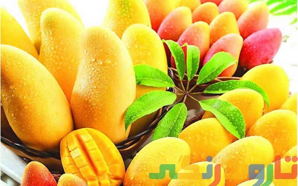 برگ انبه و کنترل دیابت