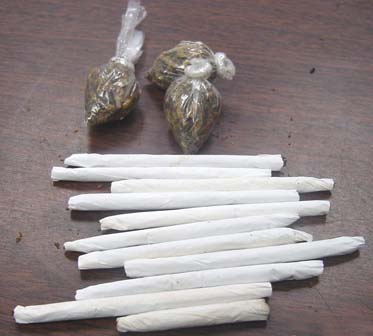حشیش حشیش