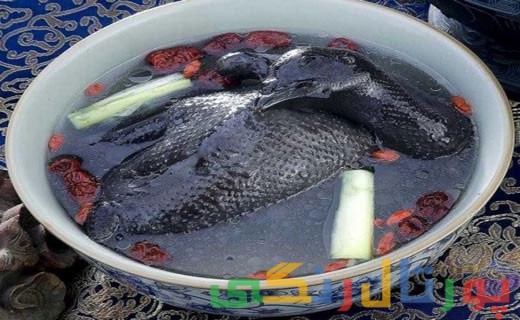 مرغ های عجیب و غریب چینی مرغ های عجیب و غریب چینی