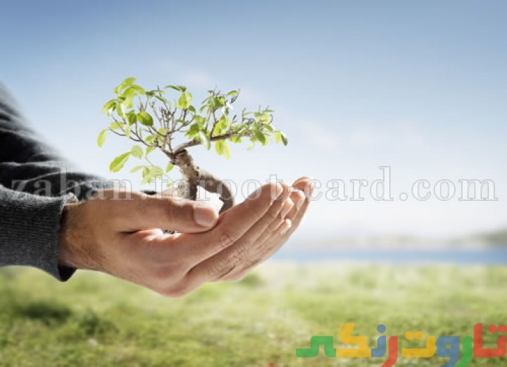 معنی developing