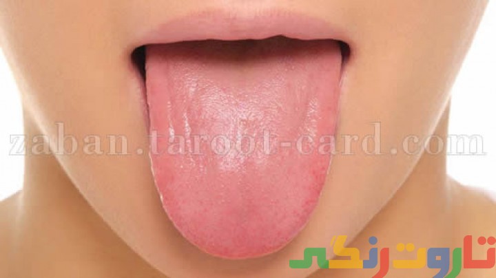 معنی tongue معنی tongue