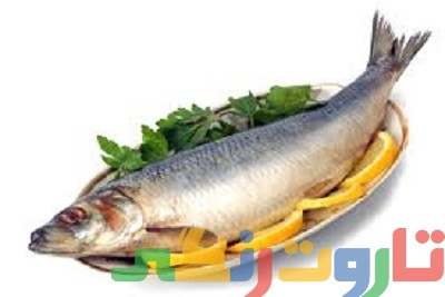 انتخاب روغن برای سرخ کردن ماهی انتخاب روغن برای سرخ کردن ماهی