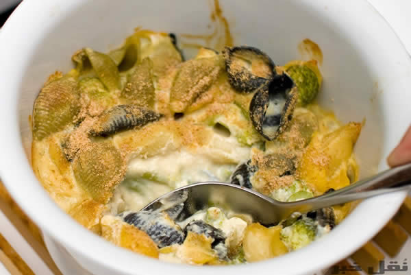 طرز تهیه گراتن پاستا طرز تهیه گراتن پاستا