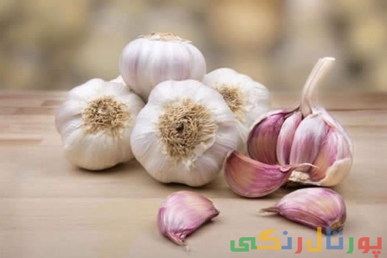 سیر ناشتا