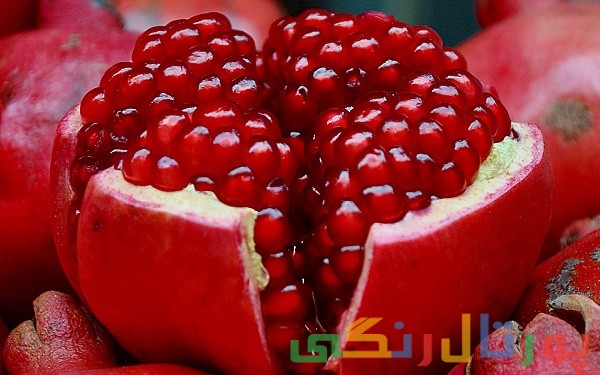 دلیل برای خوردن انار