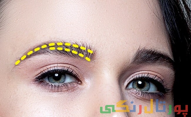 شخصیت شناسی بر اساس شکل ابروها