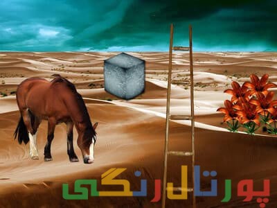 جامع ترین تست شخصیت شناسی ژاپنی جامع ترین تست شخصیت شناسی ژاپنی