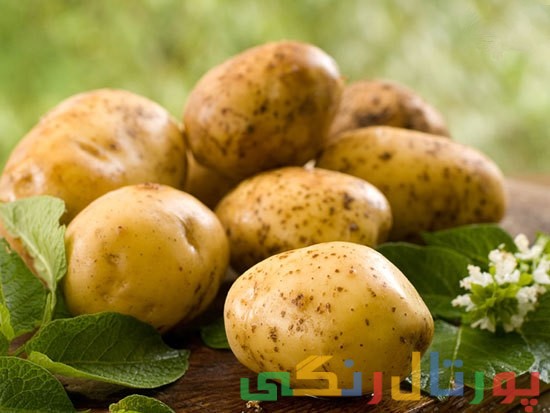 بدترین روشهای پخت انواع سبزیجات