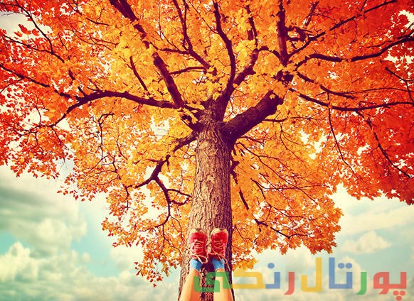 21 نکته ای که باید در جوانی بدانید