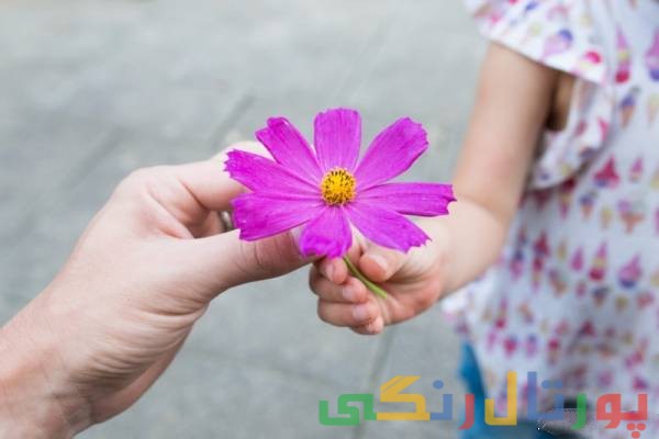 آموزش نکات مهم برای پیشگیری از عصبانیت کودک آموزش نکات مهم برای پیشگیری از عصبانیت کودک