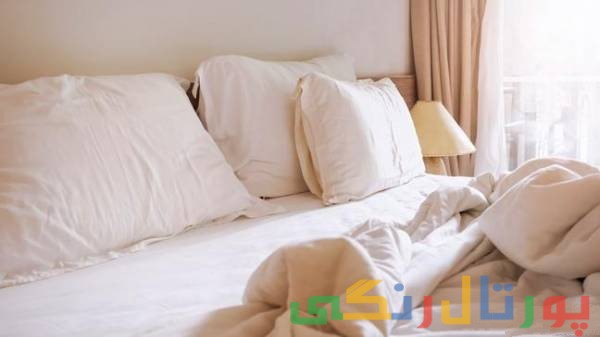 ترفندهای ریشه کنی حشرات رختخواب 