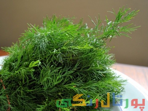 خواص شوید و کرفس را بدانید خواص شوید و کرفس را بدانید