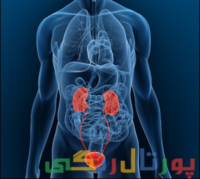 حفظ سلامت مثانه با این 7 روش