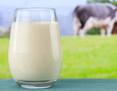آیا شیر موجب سرطان سینه می شود ؟ آیا شیر موجب سرطان سینه می شود ؟