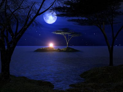 سکوت شب